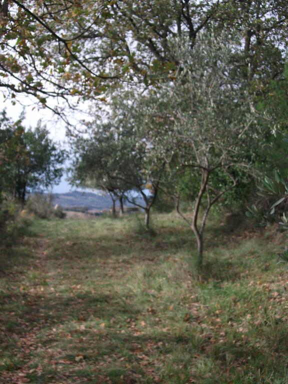 Вилла Poggio Del Conero Экстерьер фото
